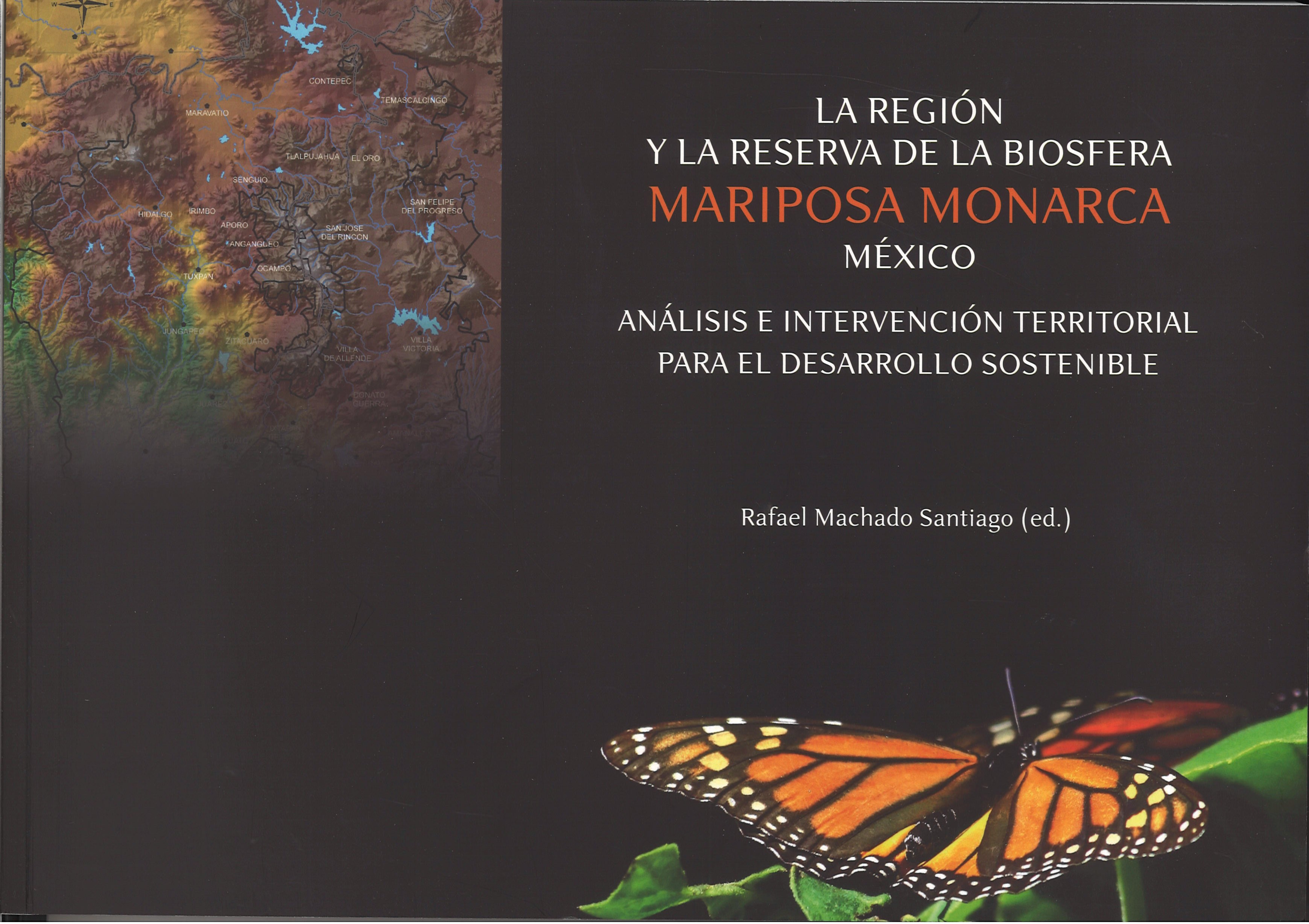 Mariposa Monarca
